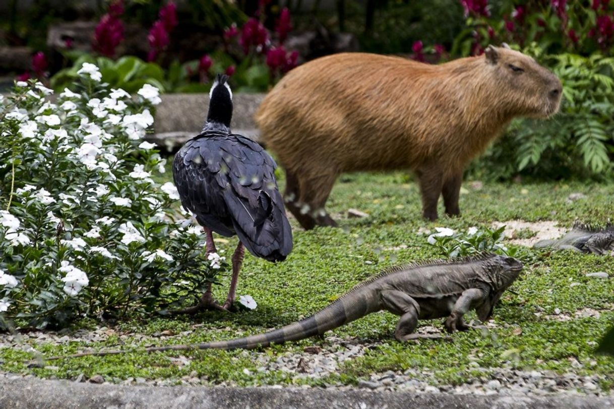 Lugar Santa Fe Zoo