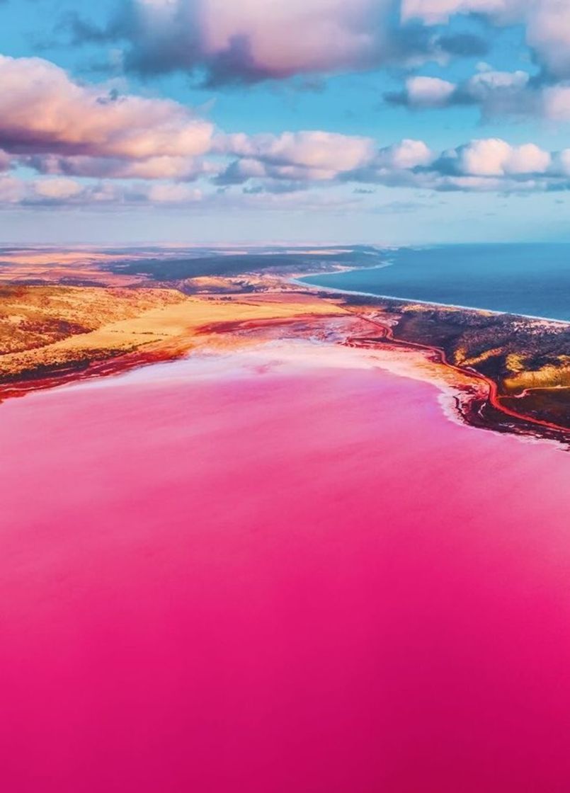 Lugar Pink Lake