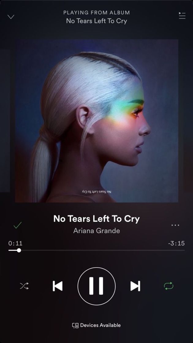 Fashion No Tears Left To Cry