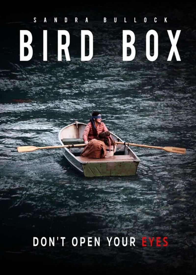 Fashion Bird Box