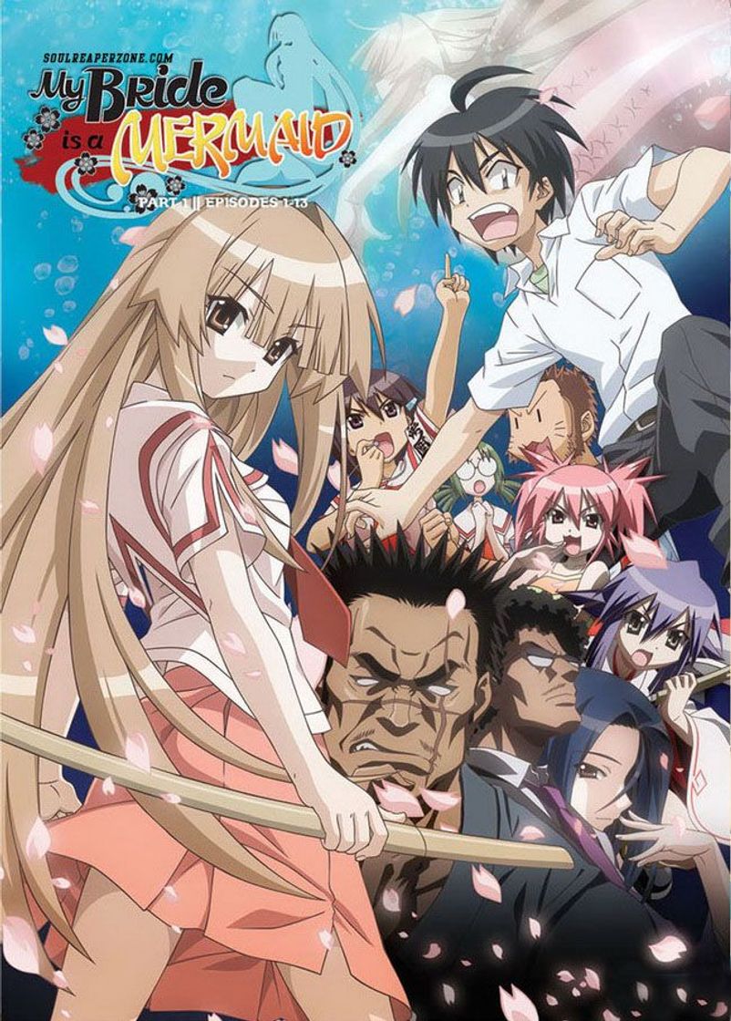 Serie Seto no hanayome
