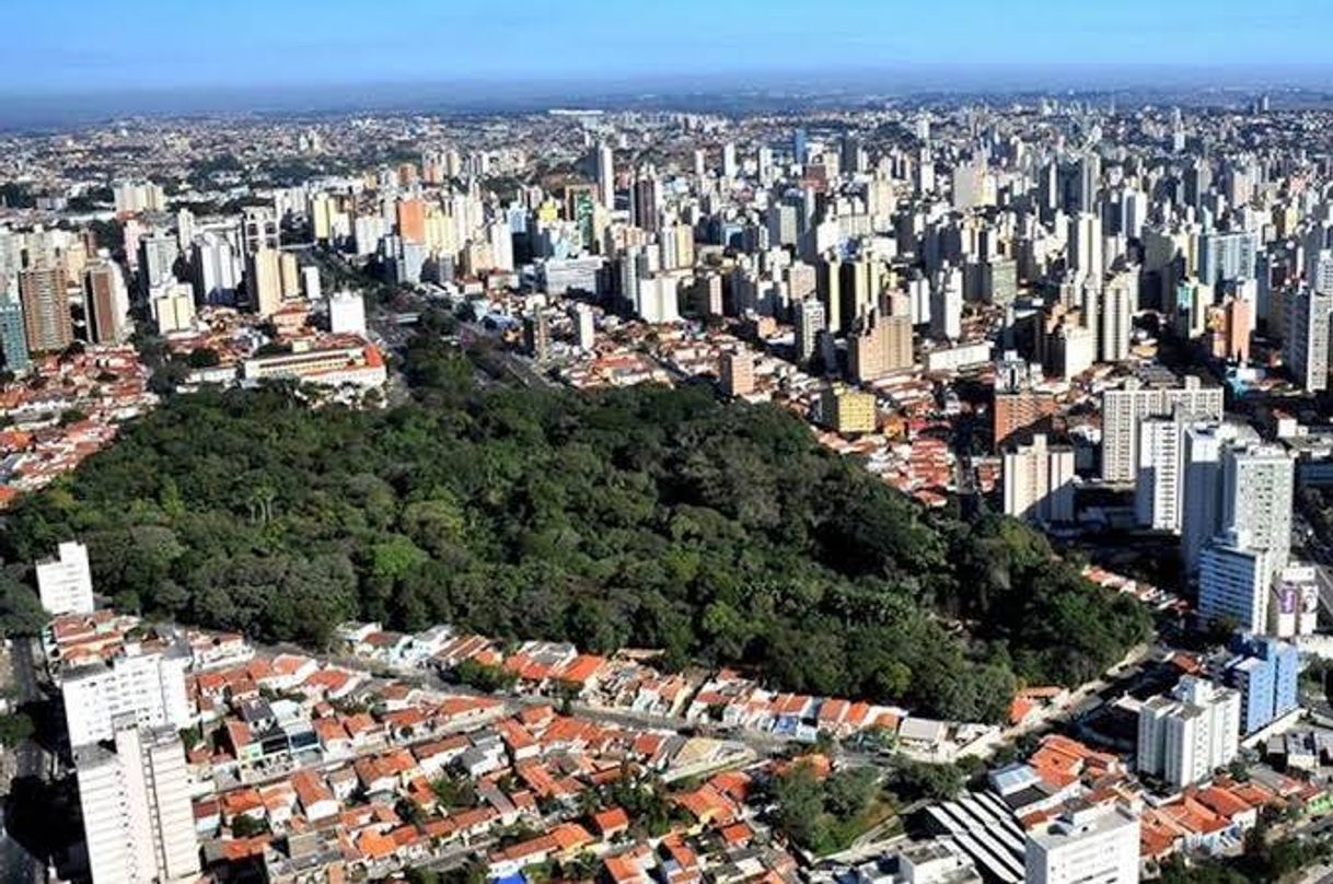 Lugar Campinas