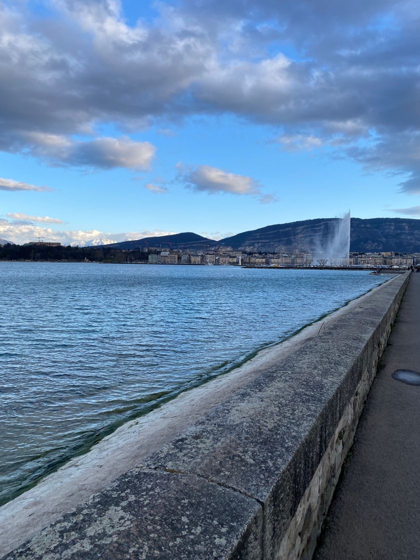 Place Lac de Genève