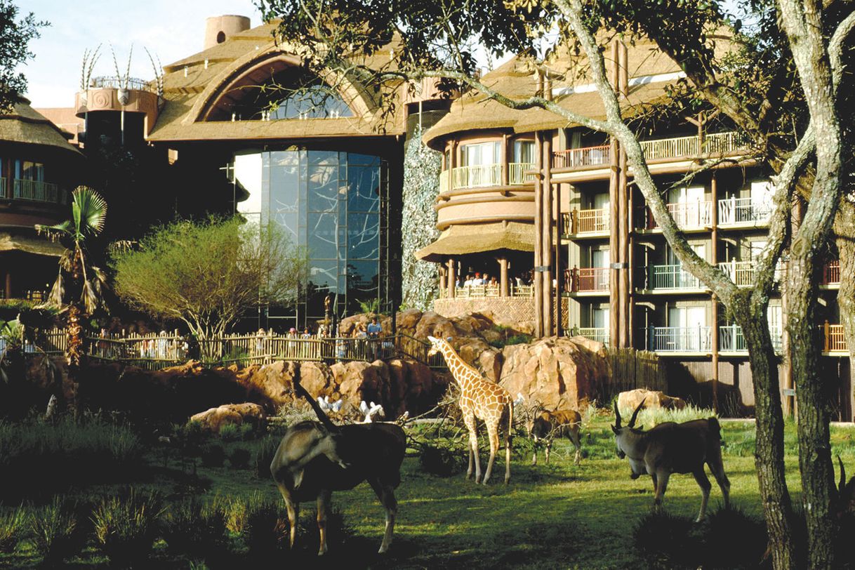 Place Animal kingdom lodge