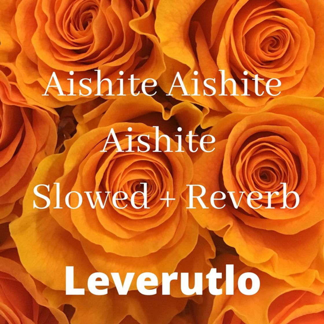 Music Aishite Aishite Aishite (Slowed + Reverb)