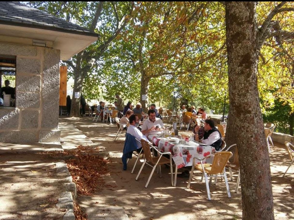 Restaurantes Quiosco Fuente del Seminario