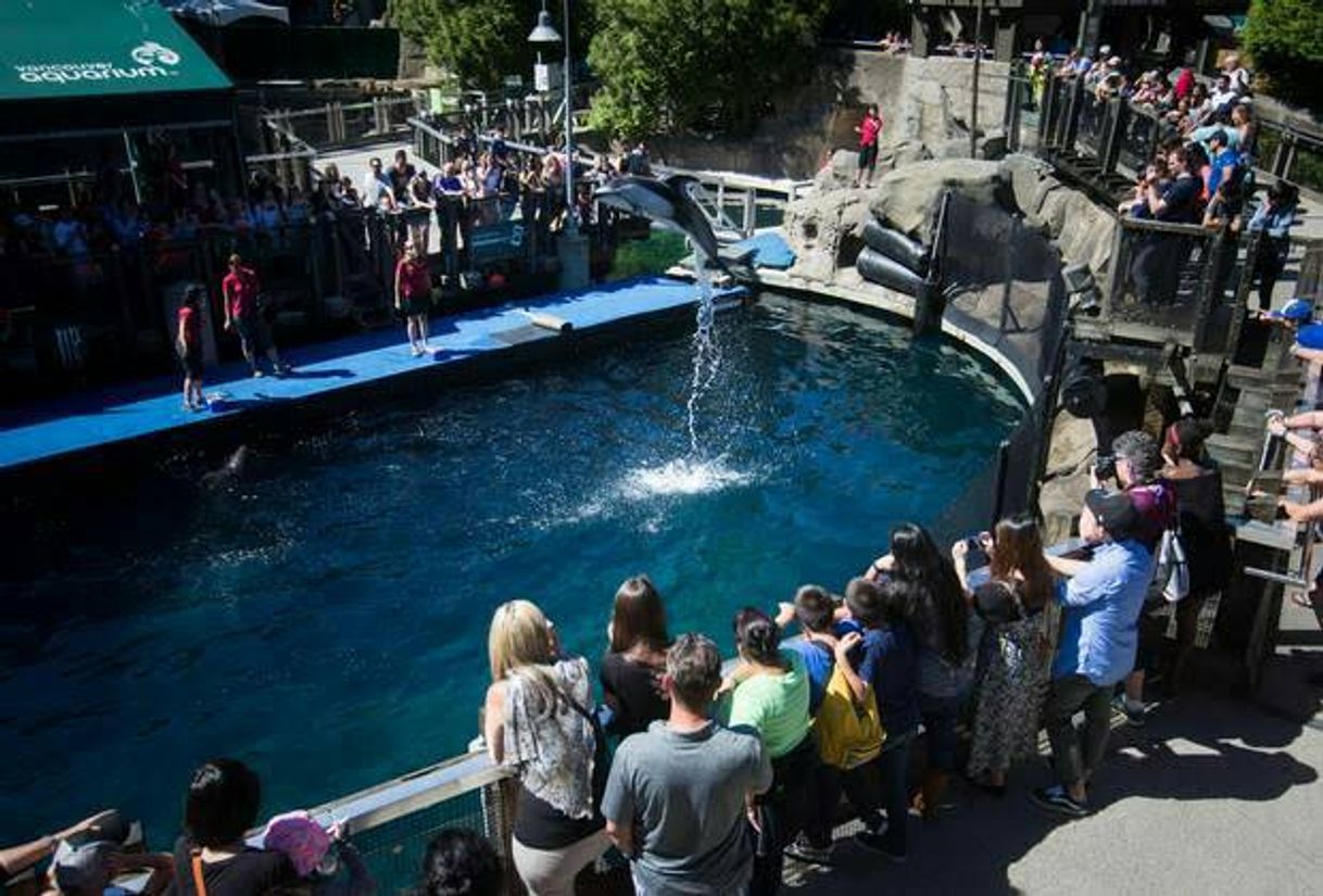 Lugar Vancouver Aquarium