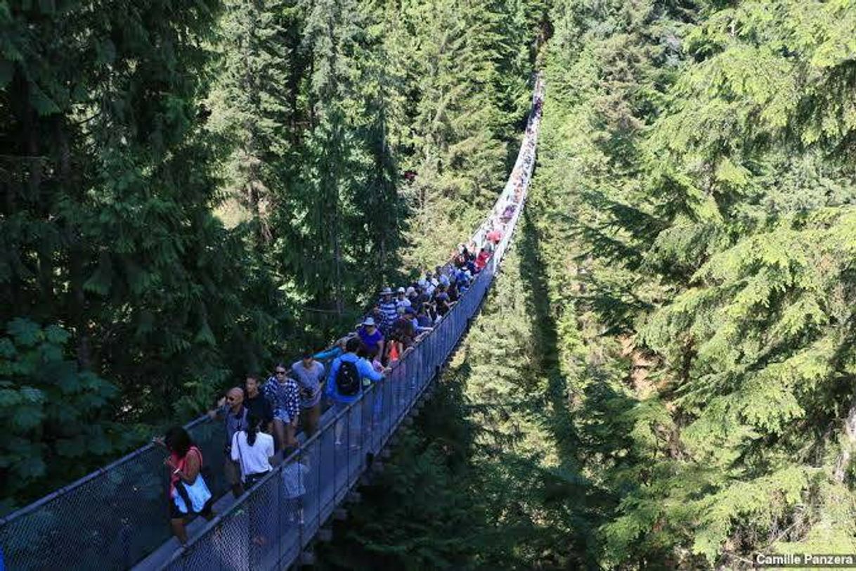 Place Capilano Suspension Bridge