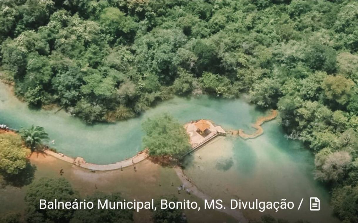 Fashion Bonito - Mato Grosso do Sul 