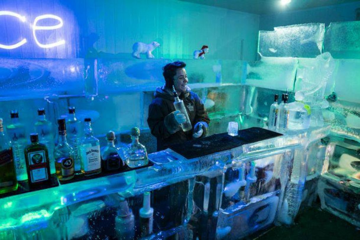 Fashion Ice Bar Boreal🥂