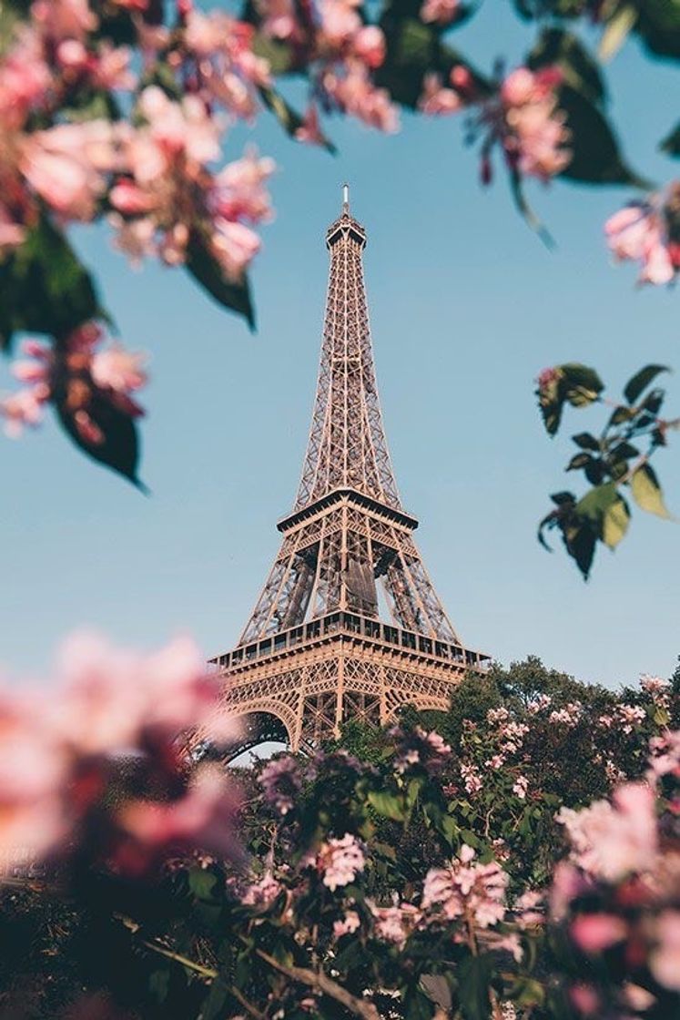 Place París