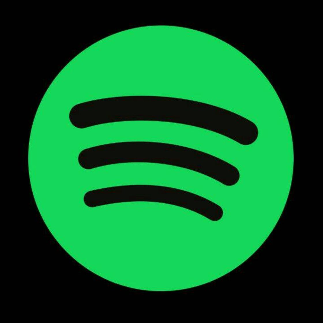 Fashion spotify