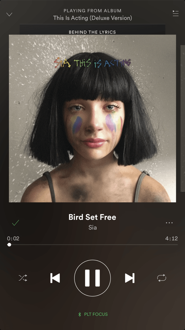 Canción Bird Set Free