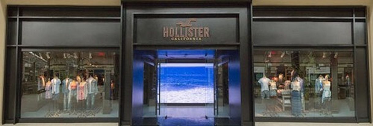 Moda Hollister