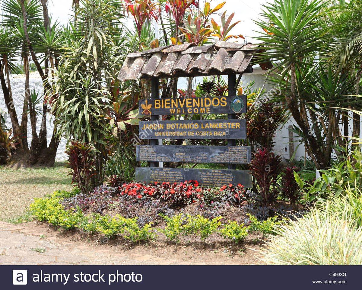 Lugar Jardín Botánico Lankester