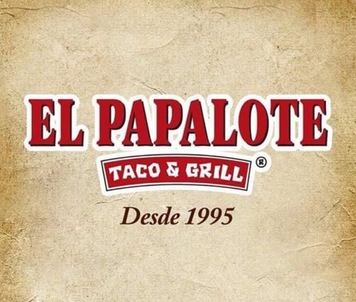 El Papalote Taco & Grill Nuevo Laredo