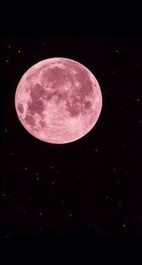 Lua rosa