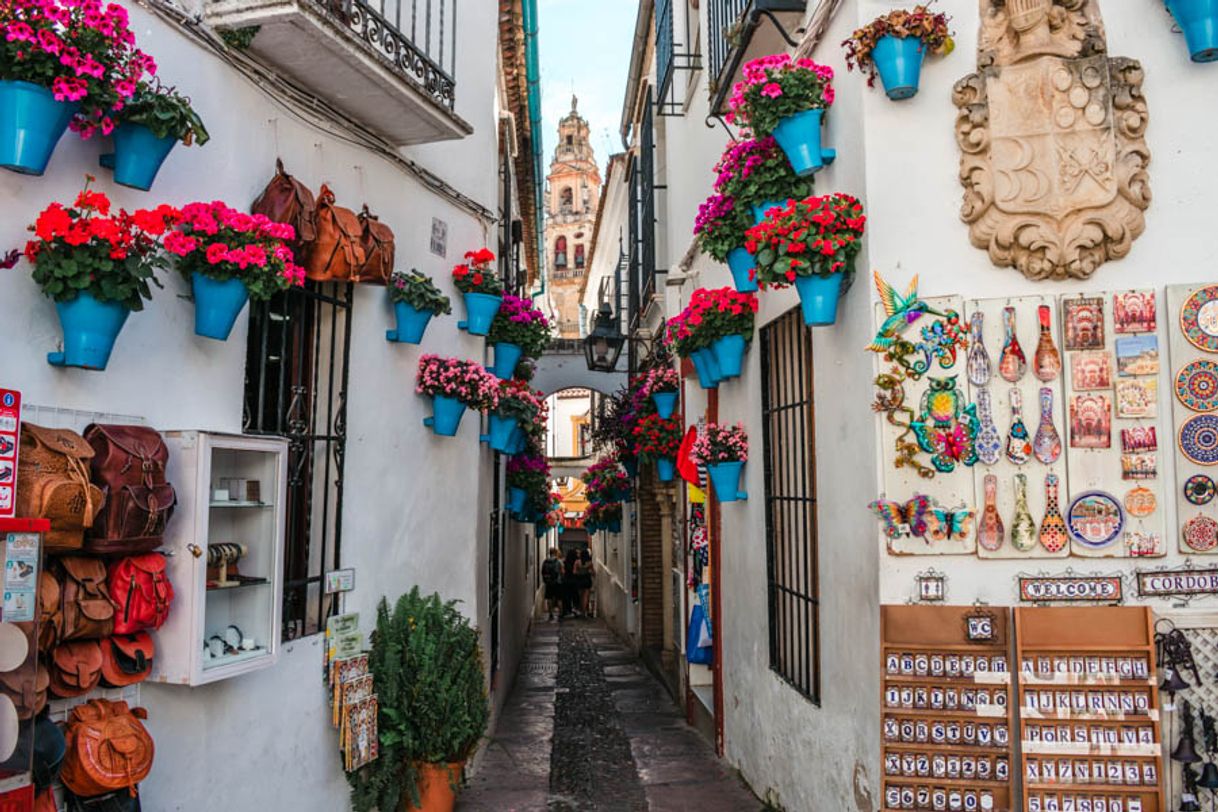 Place Calleja de las Flores