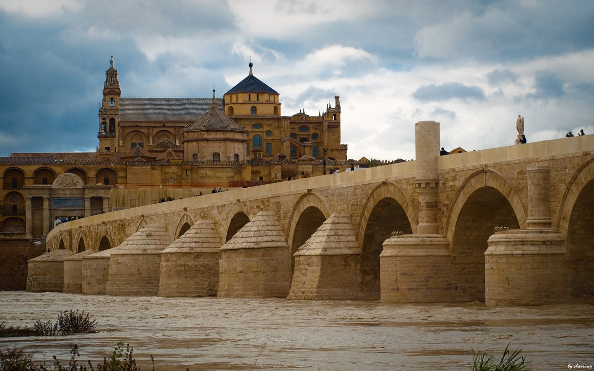 Lugar Puente Romano de Córdoba