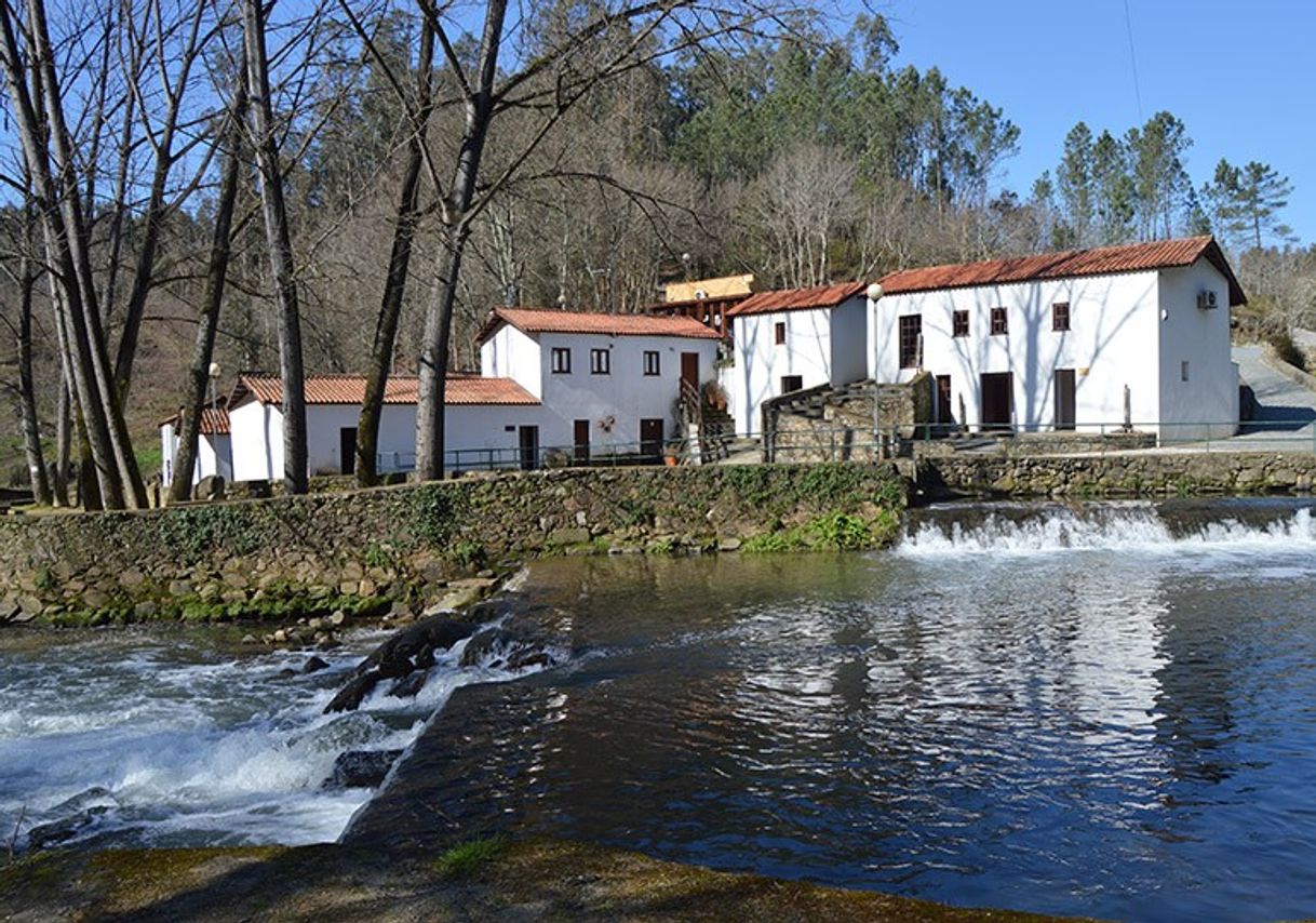 Place Parque Temático Molinológico