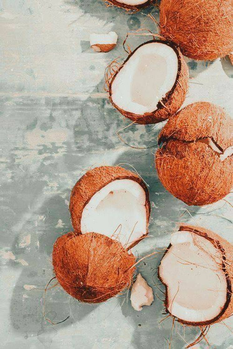 Moda Coconuts 🥥