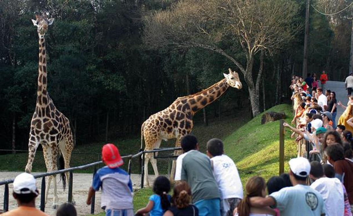 Place Zoológico Municipal de Curitiba