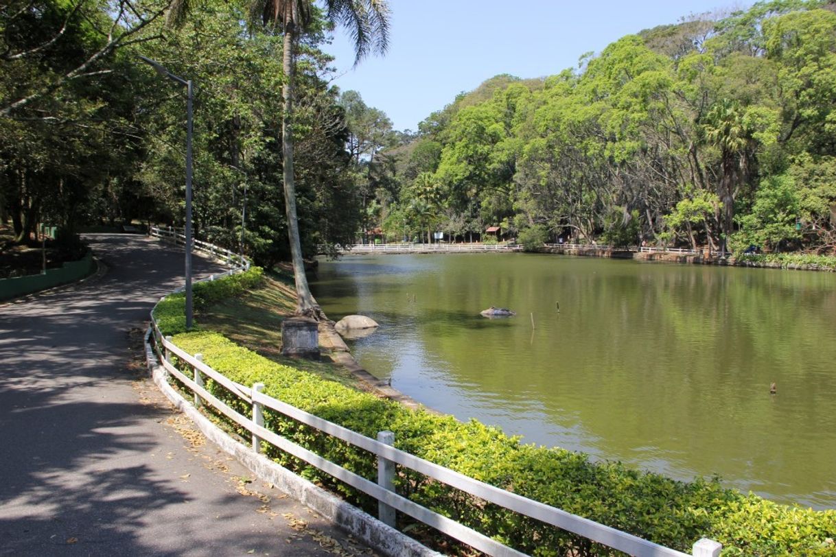 Place Horto Florestal
