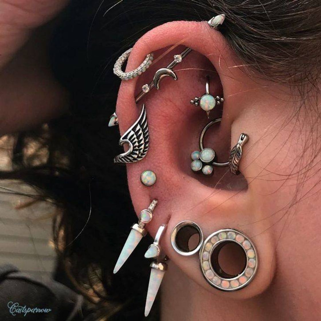 Fashion Piercings