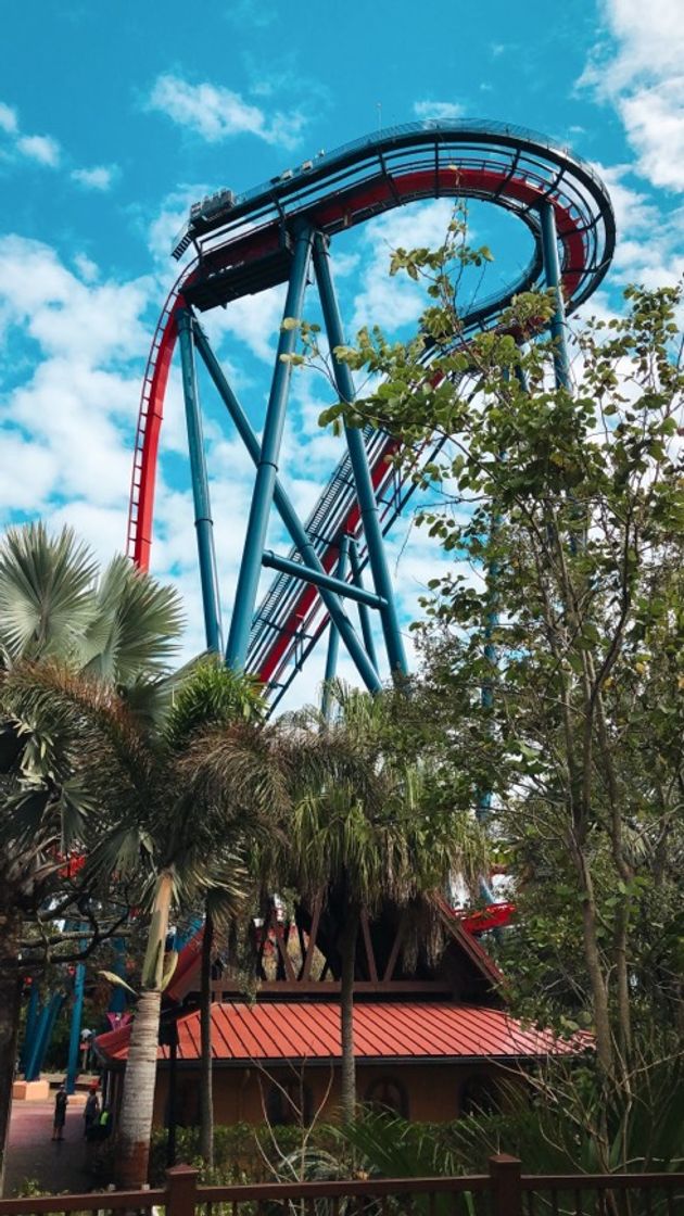 Place Sheikra