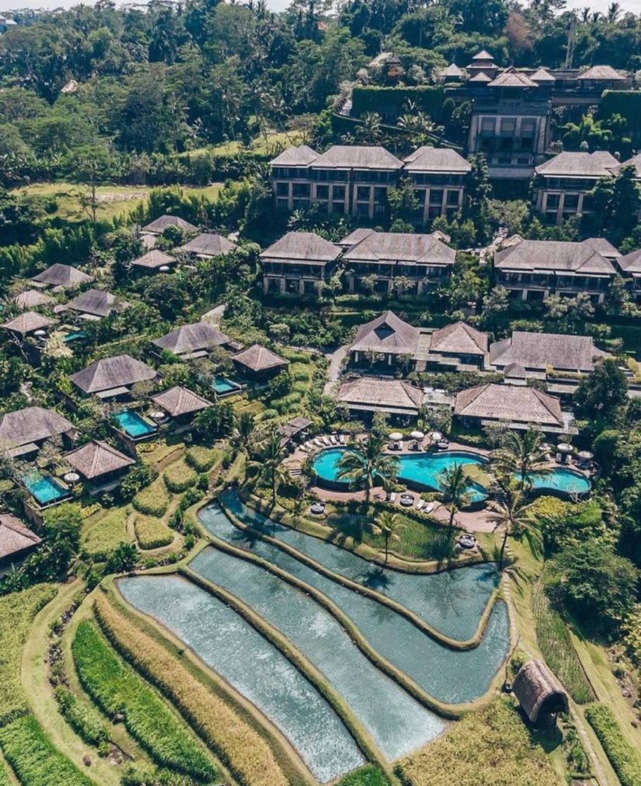 Place Mandapa, A Ritz-Carlton Reserve