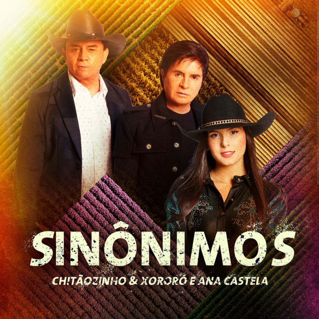 Music Sinônimos