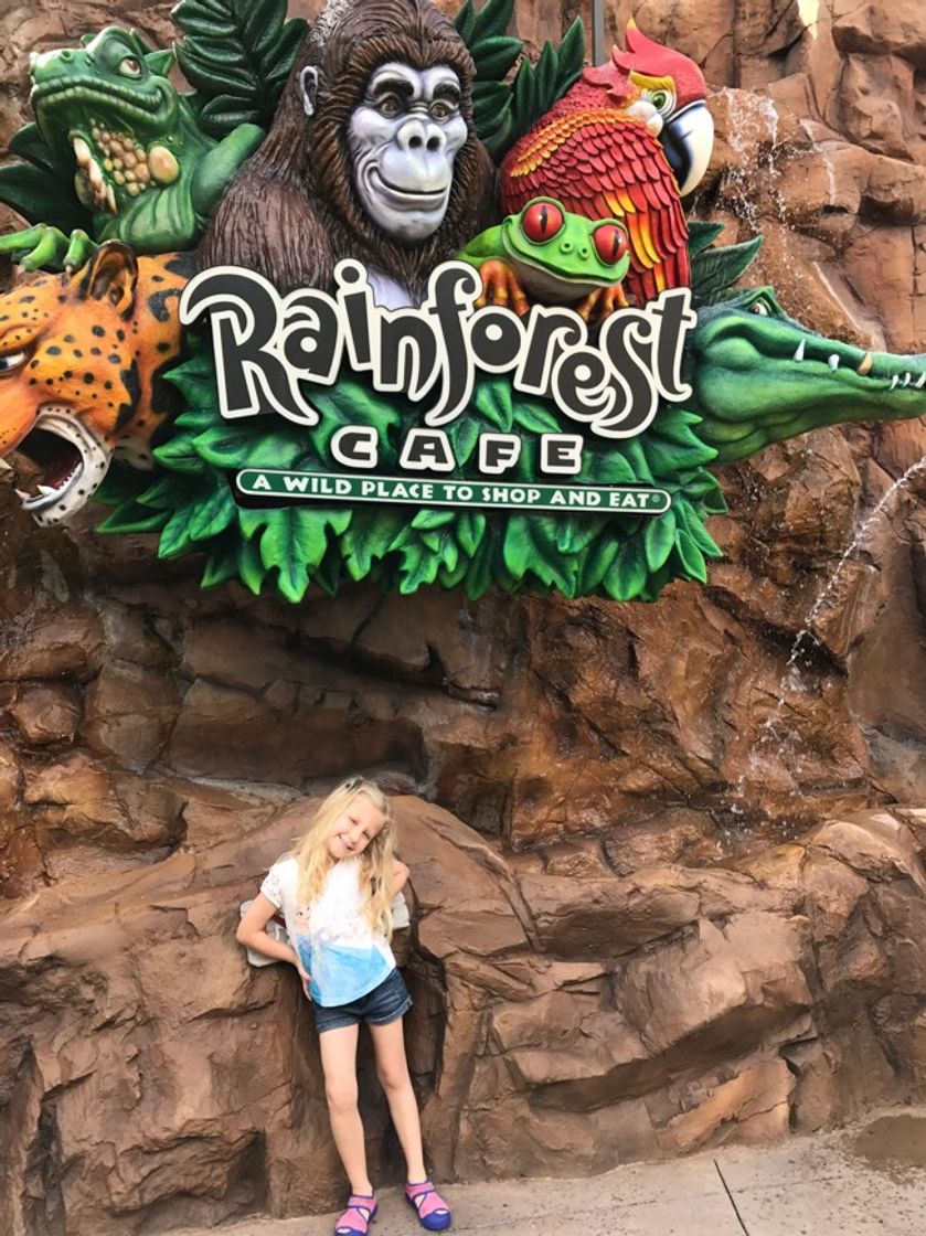 Restaurantes Rainforest Cafe