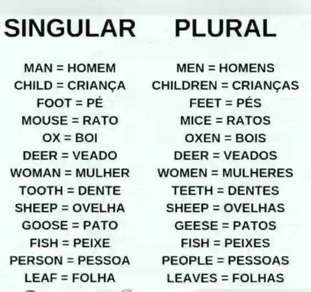 Moda Plural e singular ( em inglês)