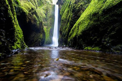 O que a Natureza realmente significa?

