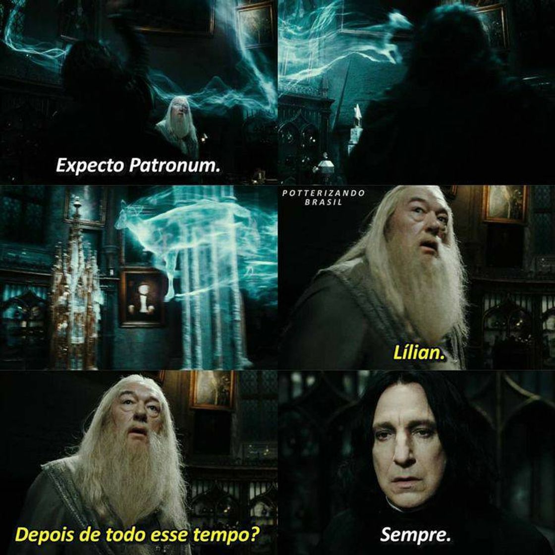 Social harry potter ⚡
