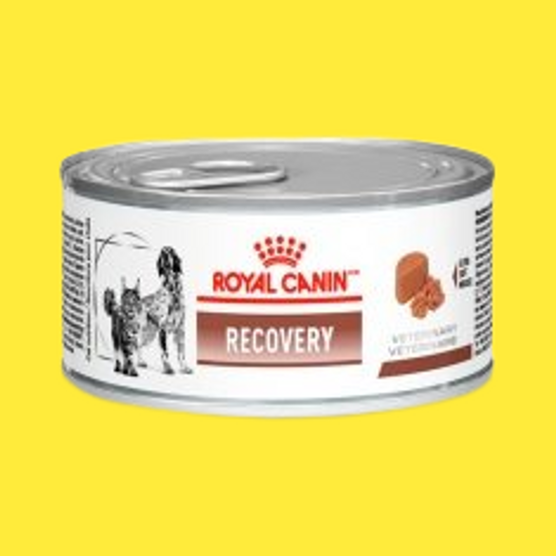 Moda Ração Úmida Royal Canin Veterinary Recovery para Cães e Gatos em Recuperação 195 g