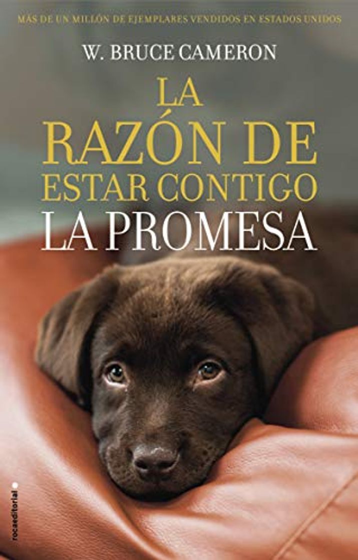 Libro La razón de estar contigo. La promesa