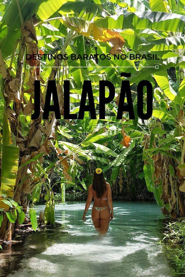 Social Jalapão