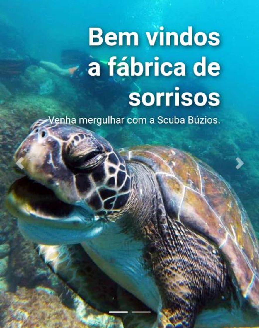 Social Scuba Búzios Escola e Operadora de Mergulho 