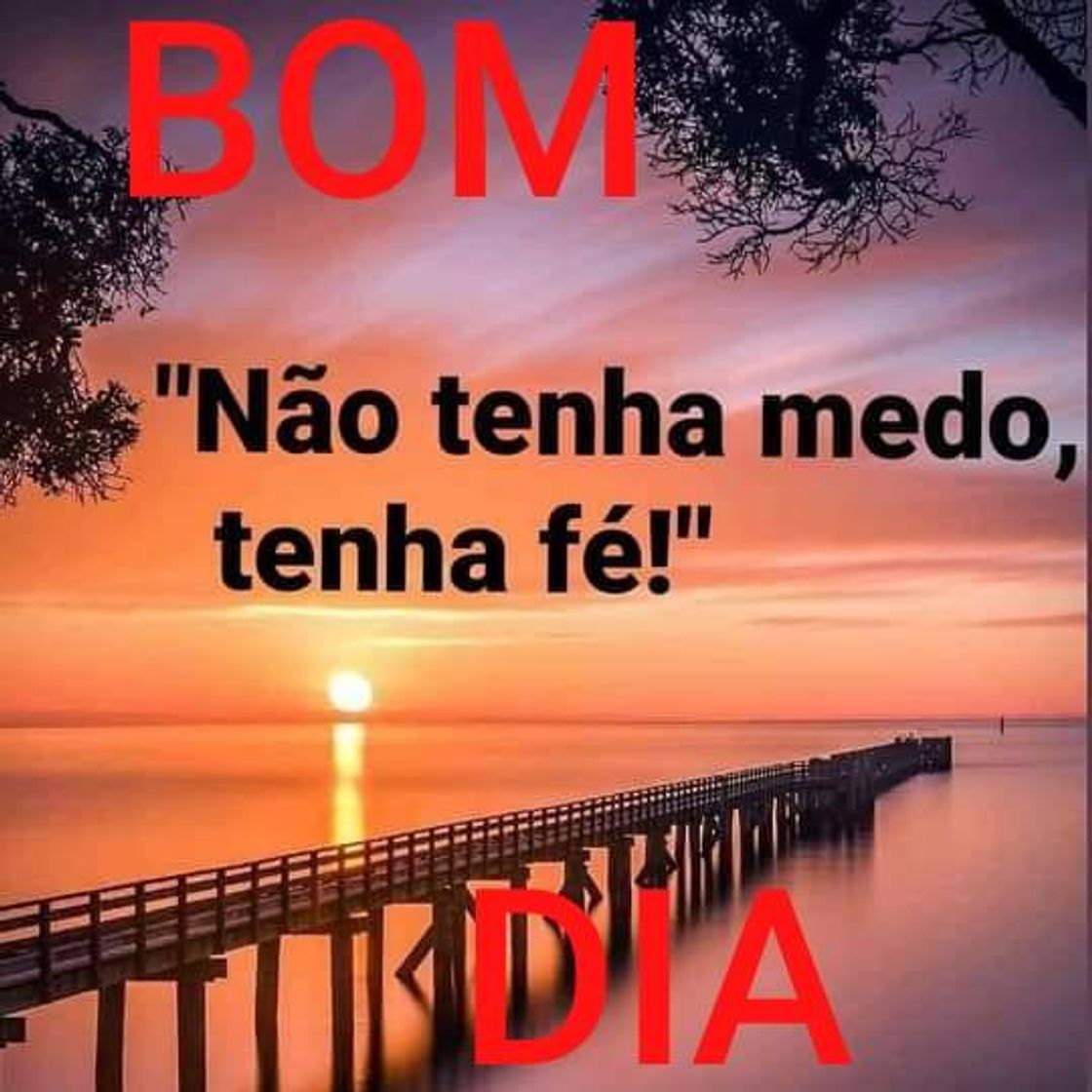 Social Bom Dia Imagens