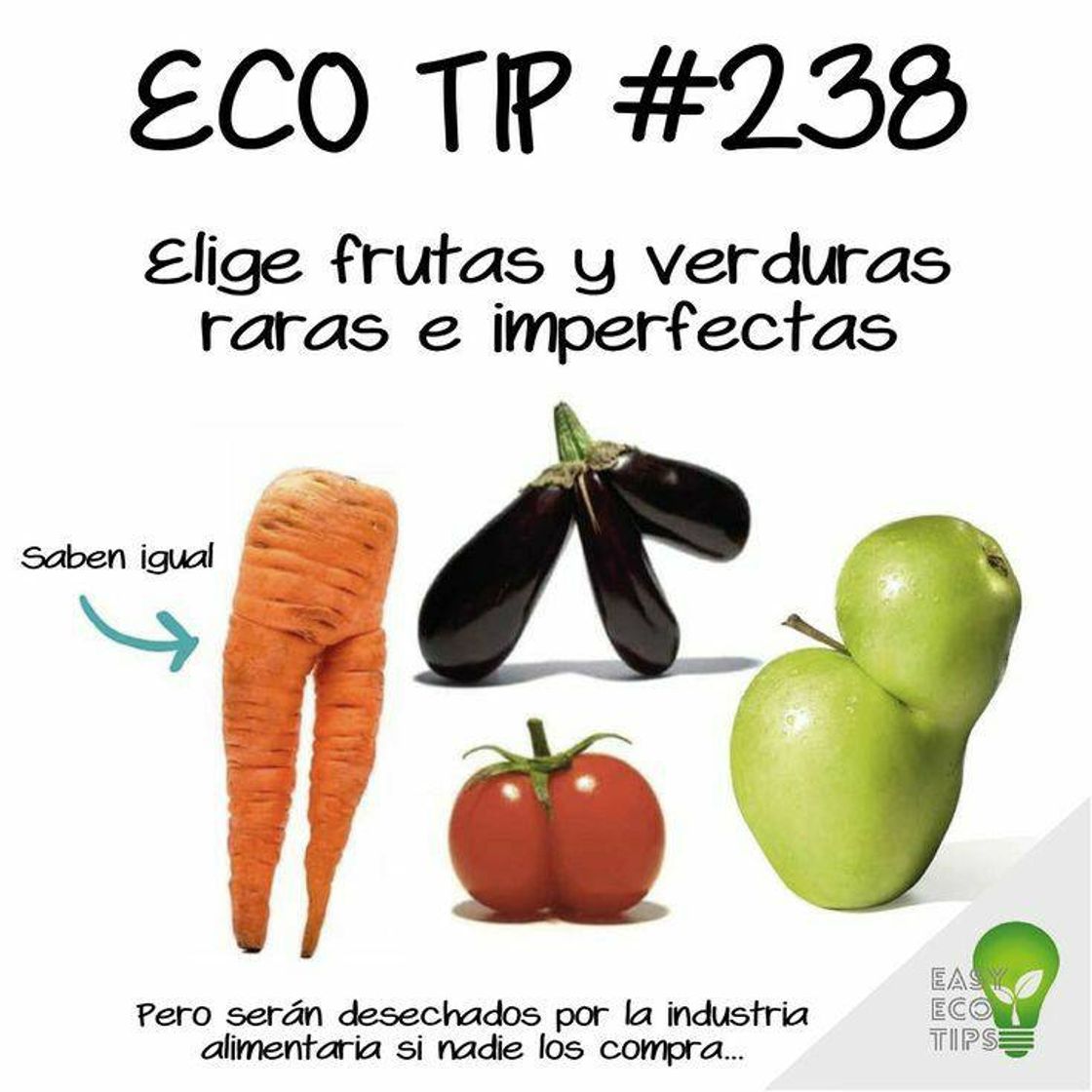 Moda Ecología 