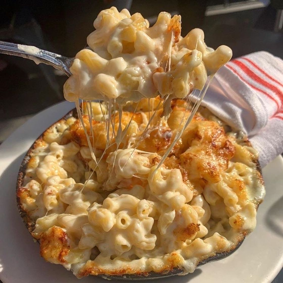 Moda mac and cheese