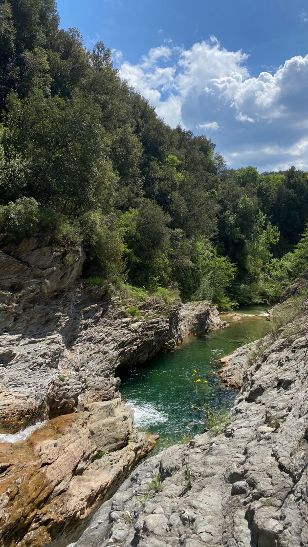 Lugar Gorgues Del Riu Muga