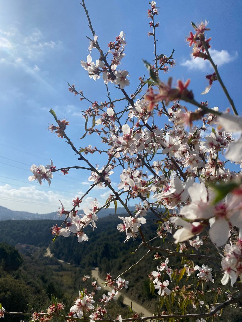 Lugar Serra de Collserola