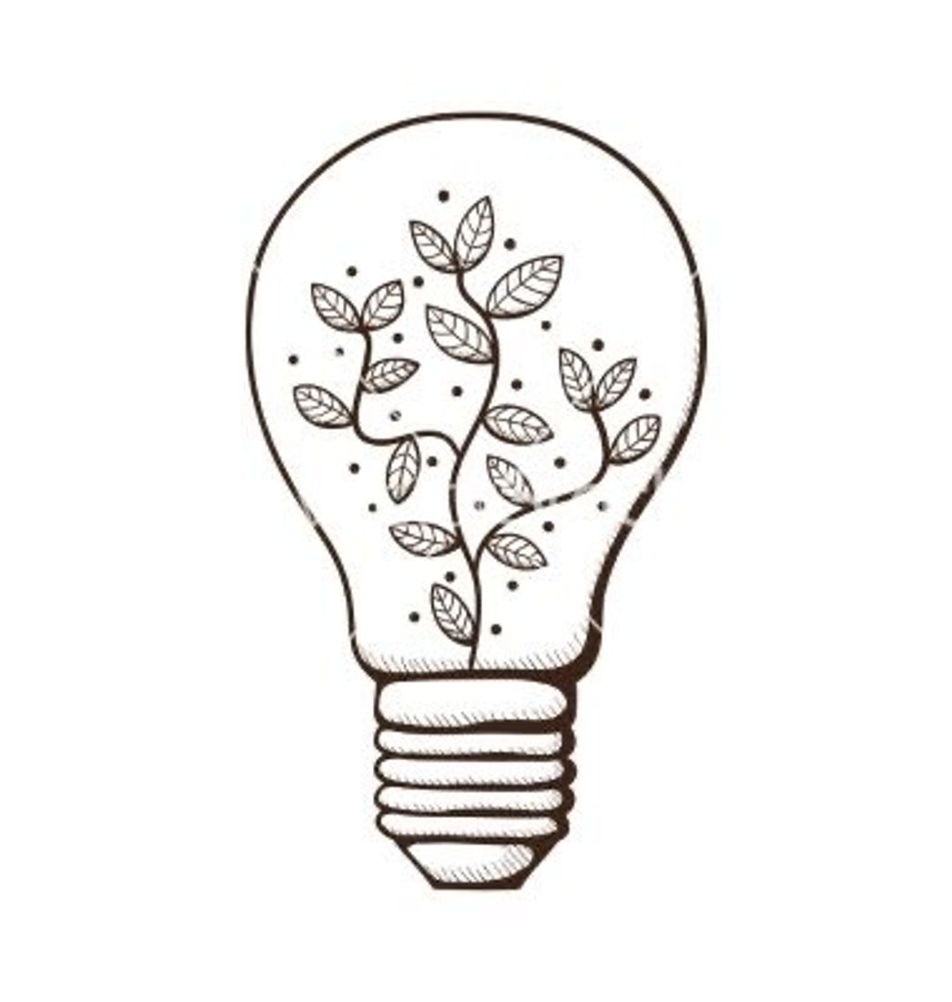 Social Desenho