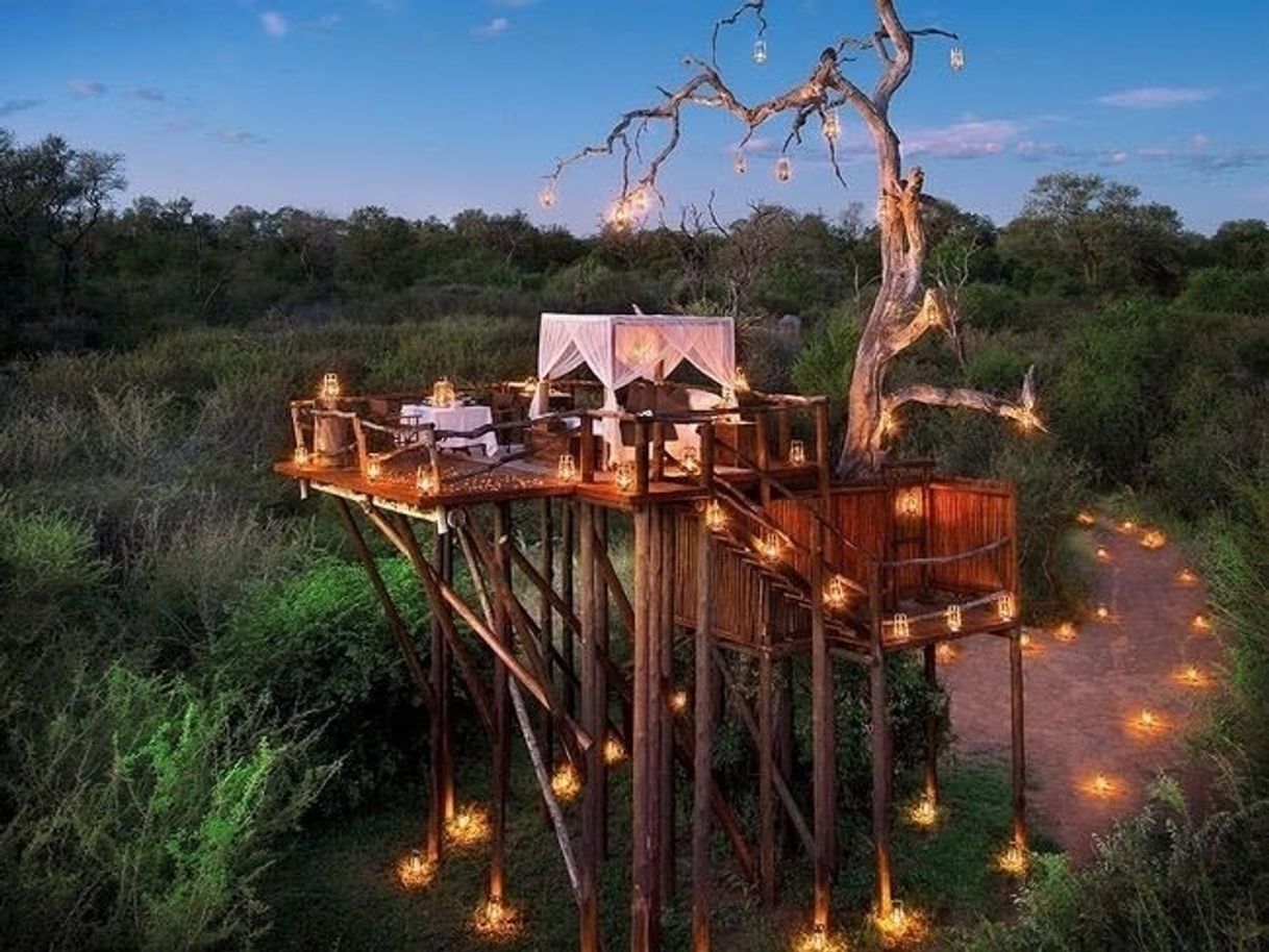 Lugar Lion Sands Game Reserve