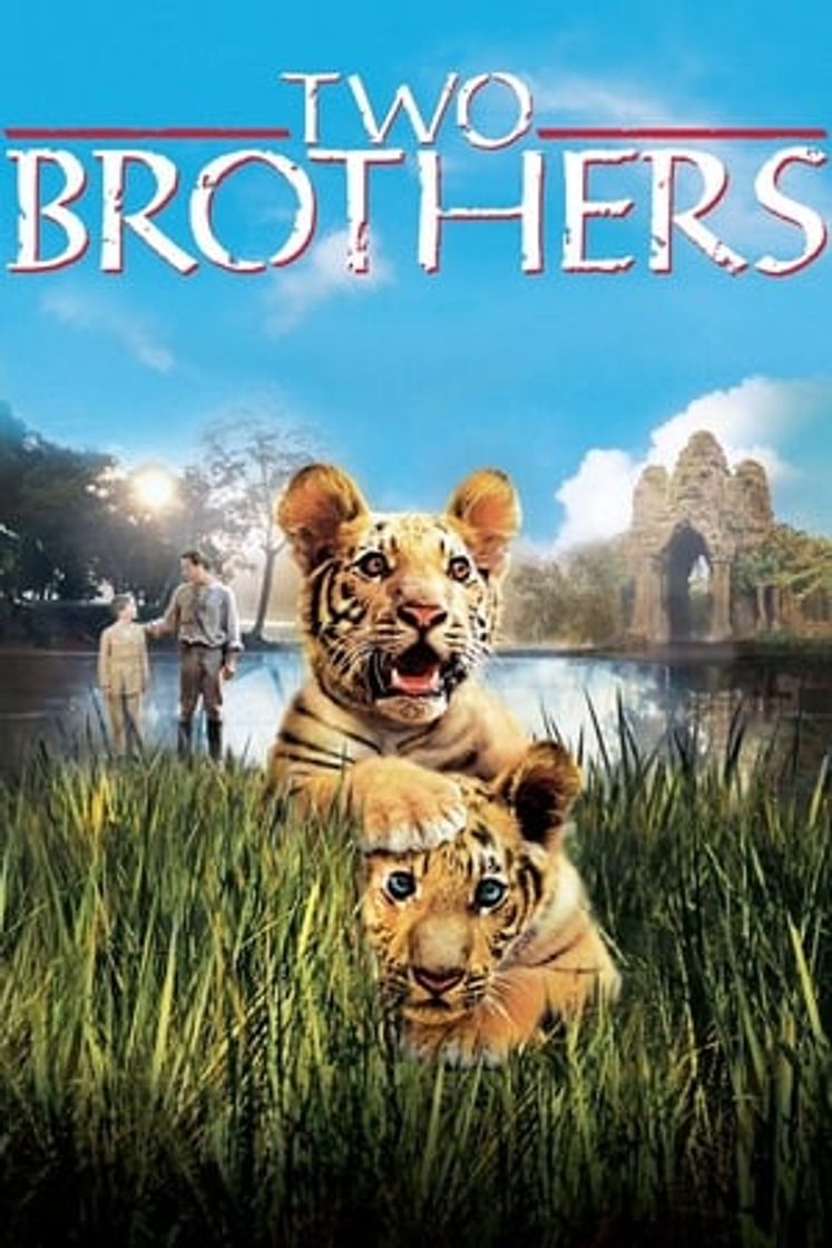 Película Dos hermanos