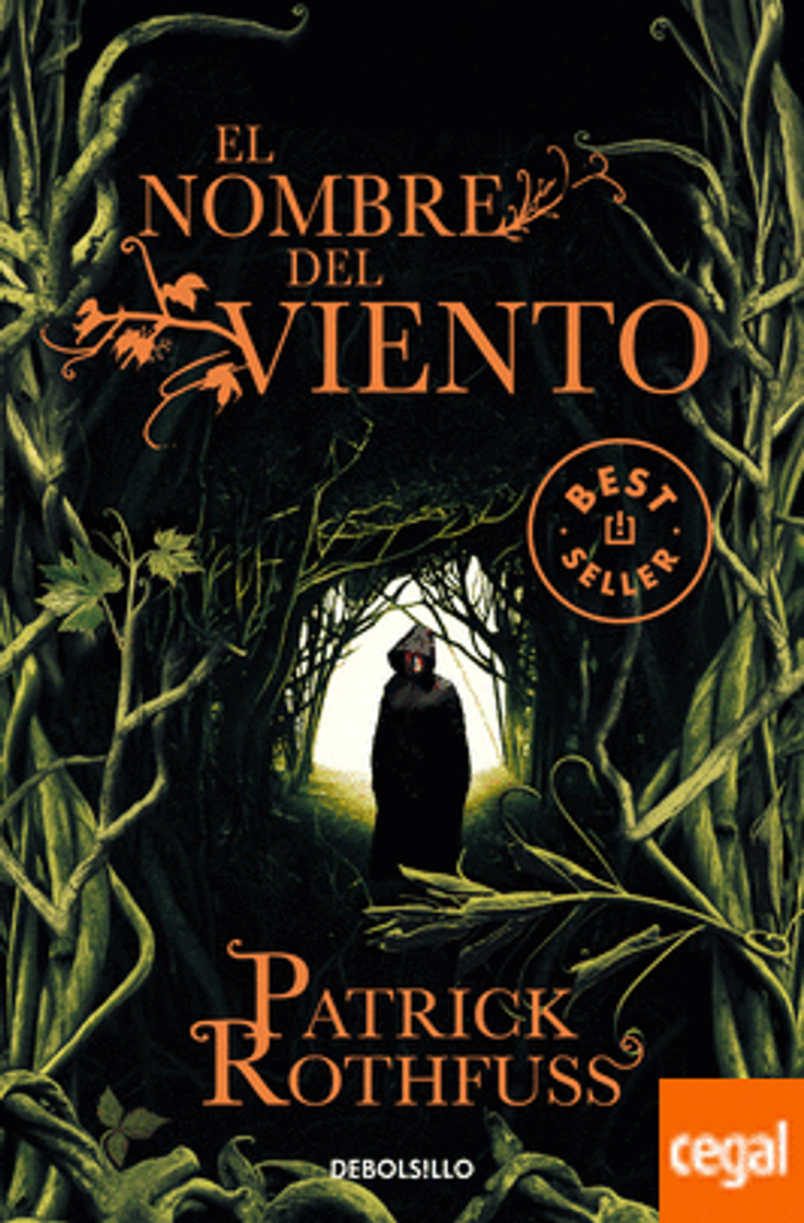 Libro El nombre del viento 