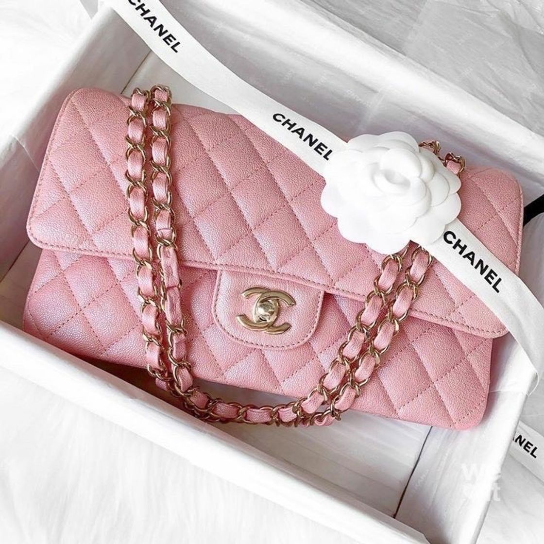 Fashion Chanel 