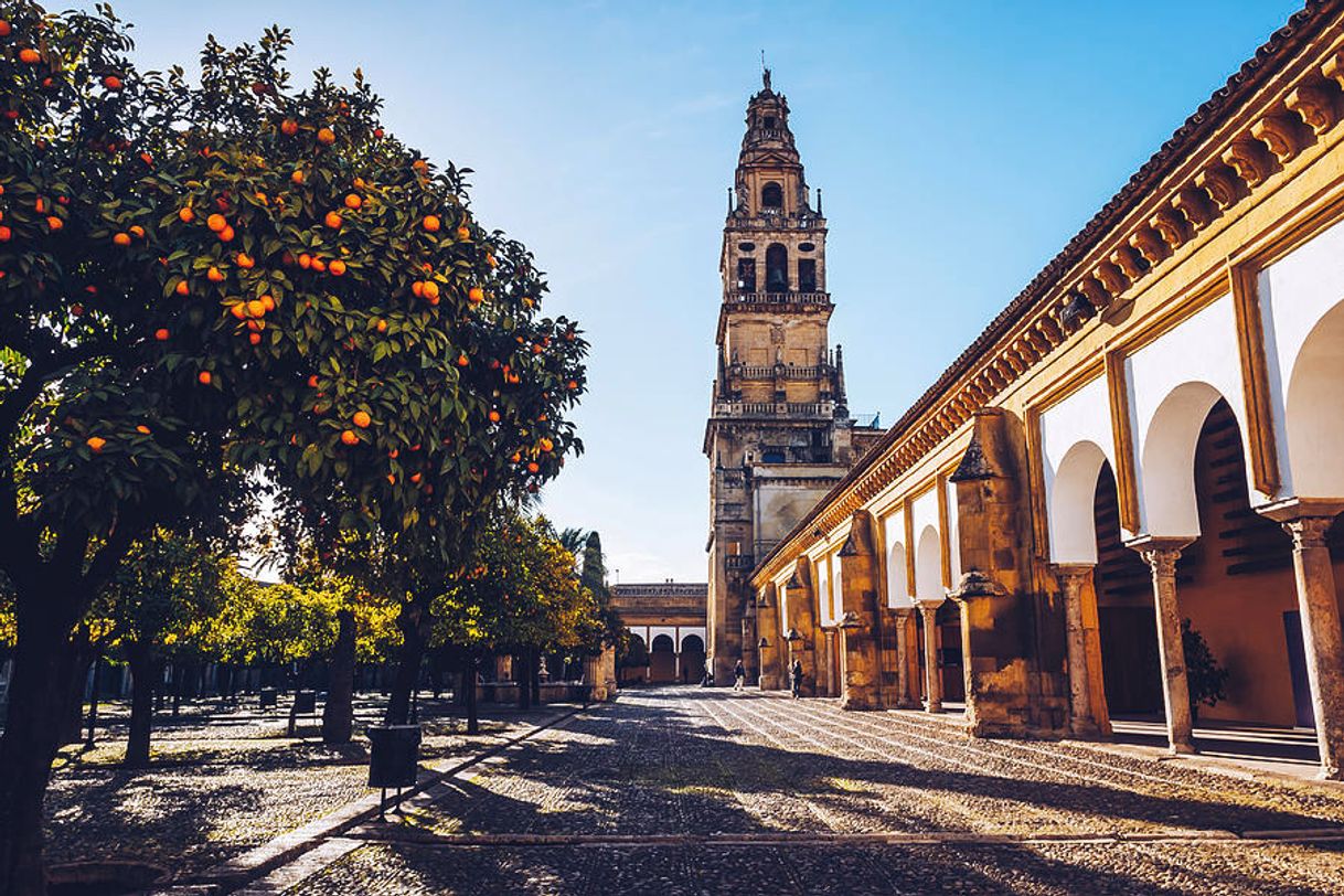 Lugares Patio de los Naranjos